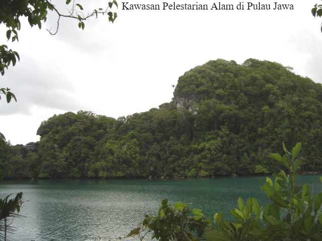 4 Daftar Kawasan Pelestarian Alam di Pulau Jawa